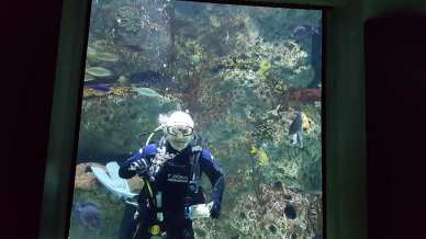 36913075_916007885254162_4261895704223416320_n