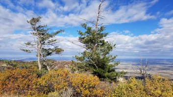 autumn drive 2018 (6)