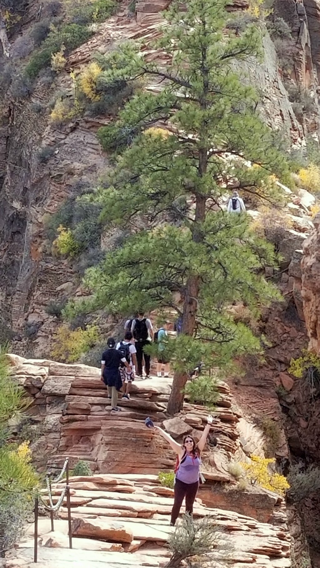 Tackling Angels Landing, Zion National&nbsp;Park