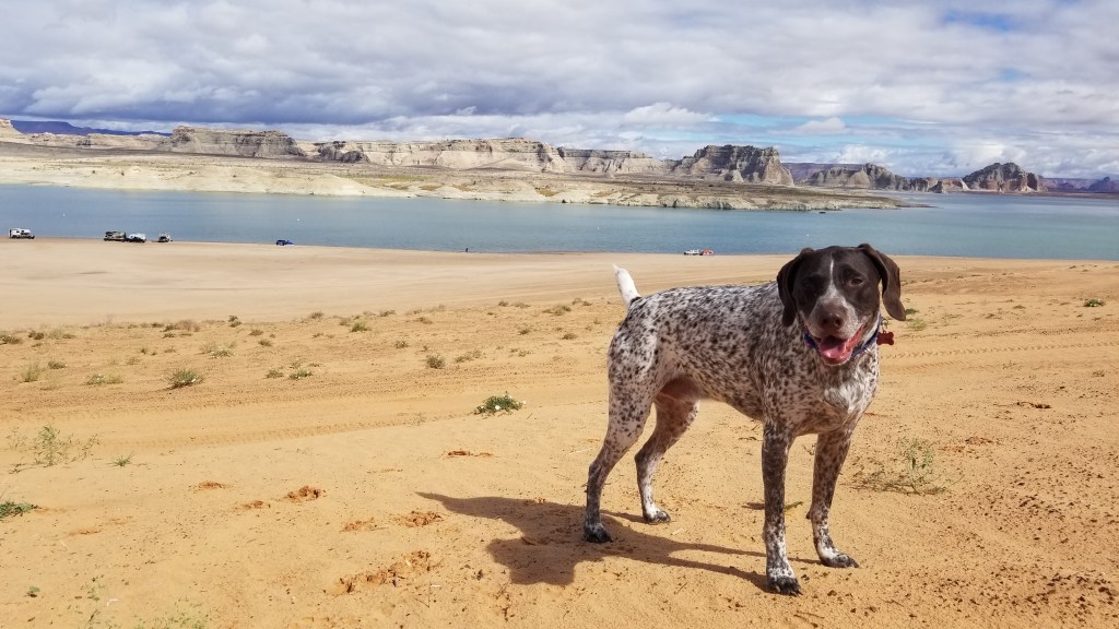 Center of the Grand Circle #PageAZ #FindYourPark