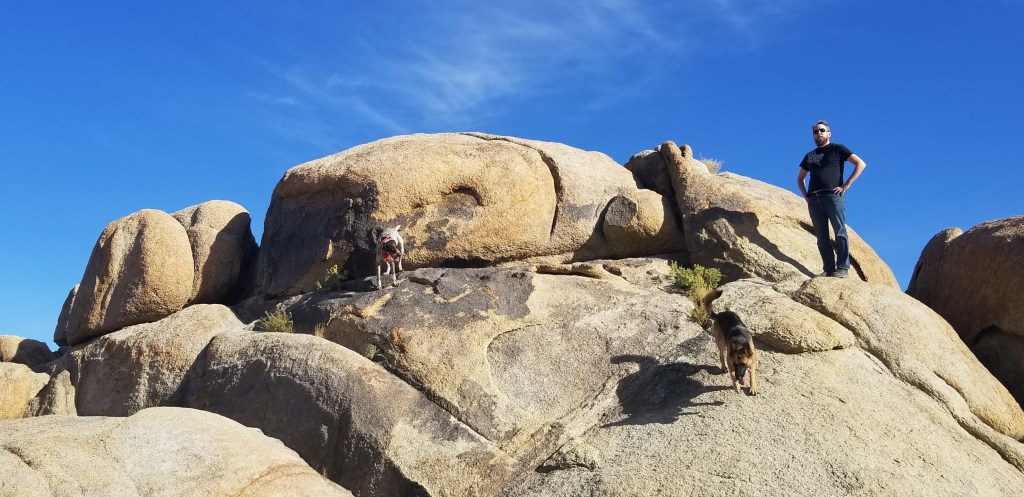#TalleyYourMiles at Alabama Hills – Bureau of Land Management #SierraNevadas #AlabamainCali #CaliExperience #ThanksgivingAdventures
