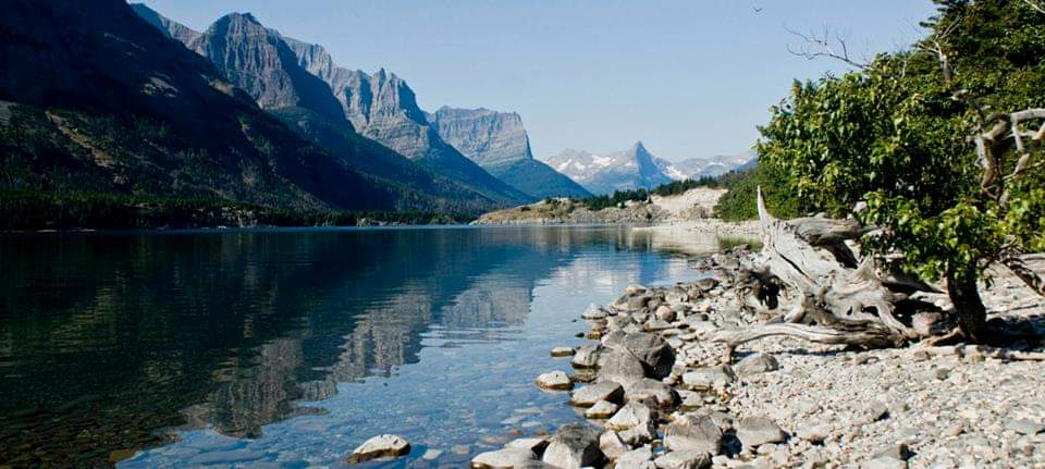 #tbt when the #TravelingTalley visited Glacier National Park #TalleyYourAdventure #CampingwithKyzer