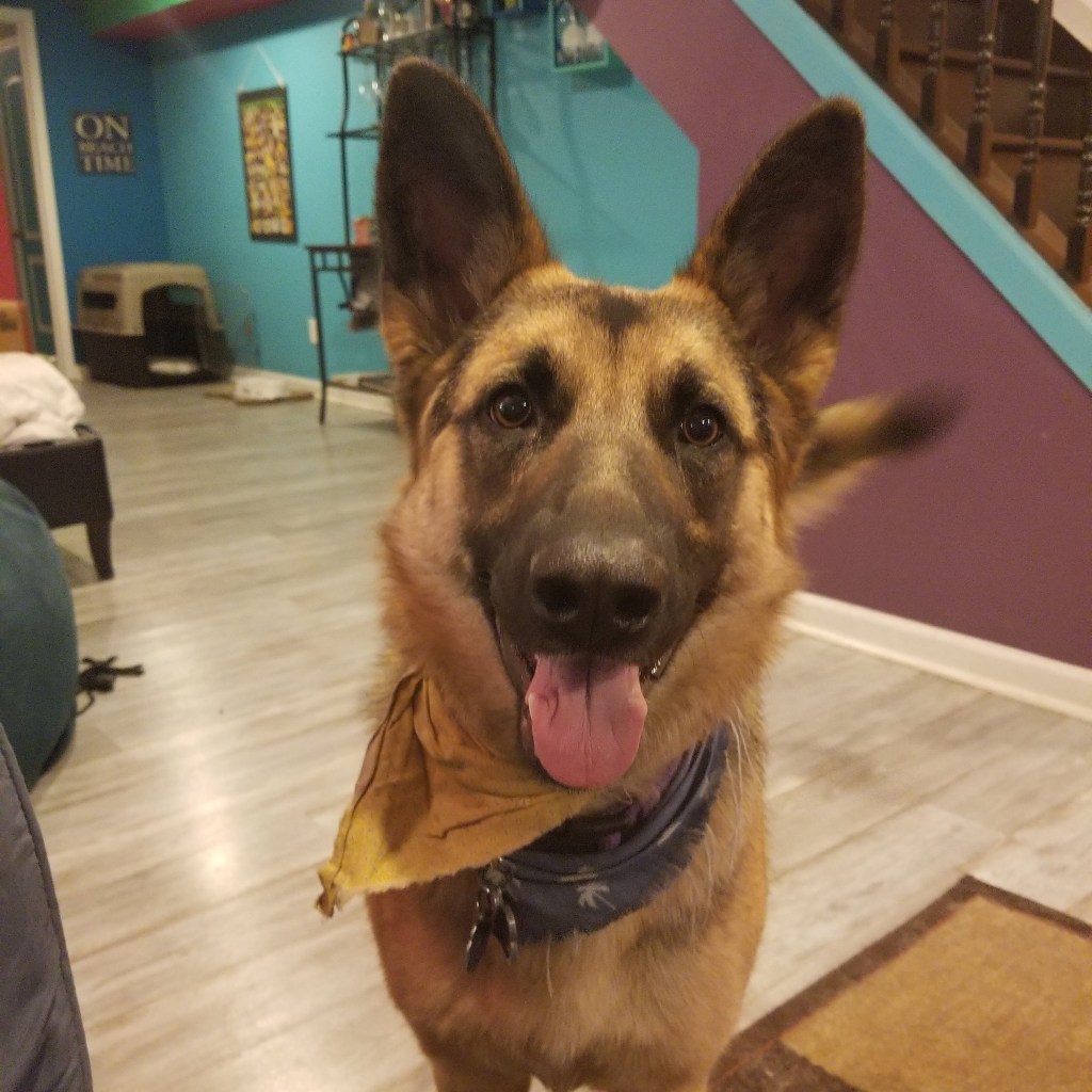 Talley Your Adventure – Kiki’s Korner –&nbsp;Maryland!
