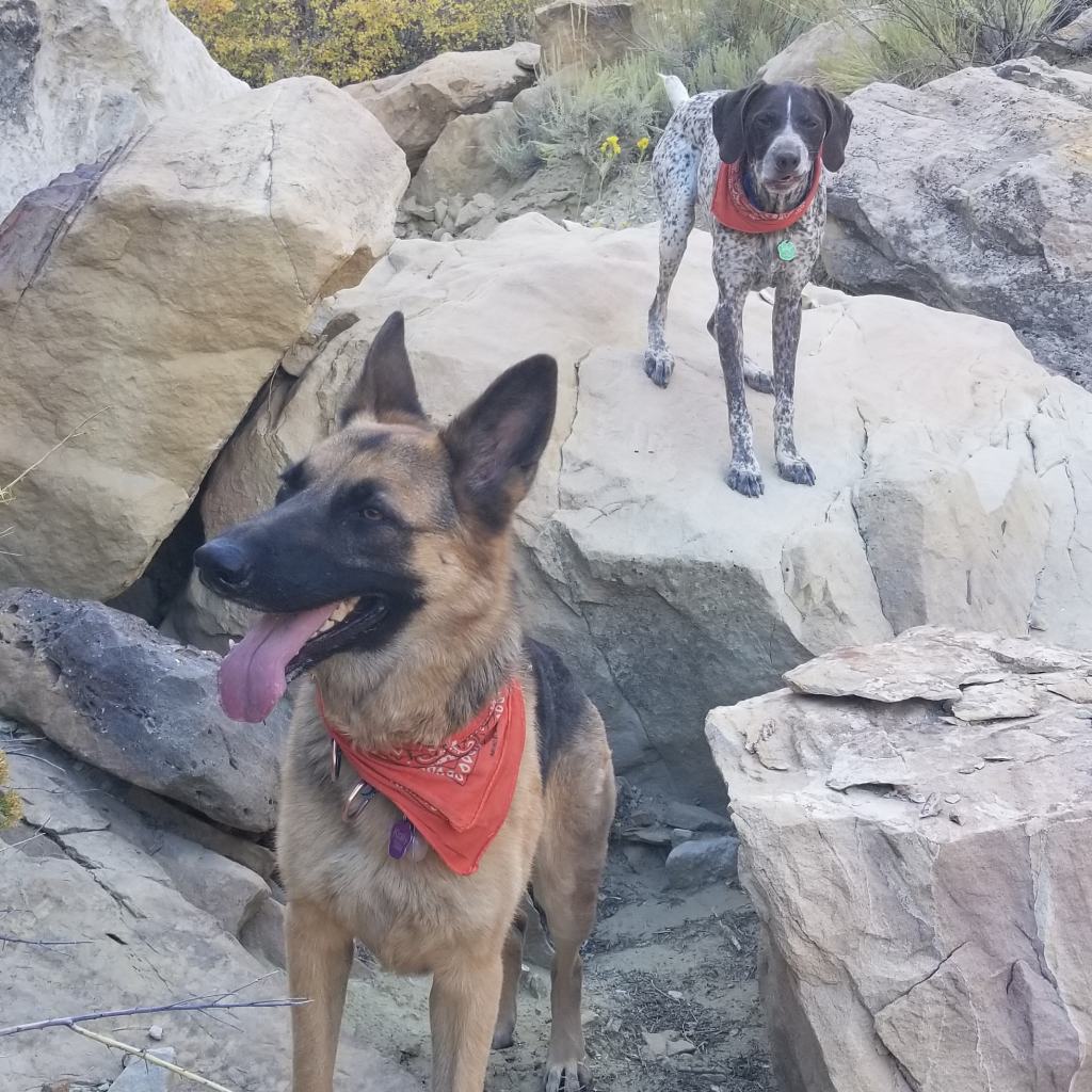 Talley Your Adventure – Kiki’s Korner –&nbsp;Nevada!