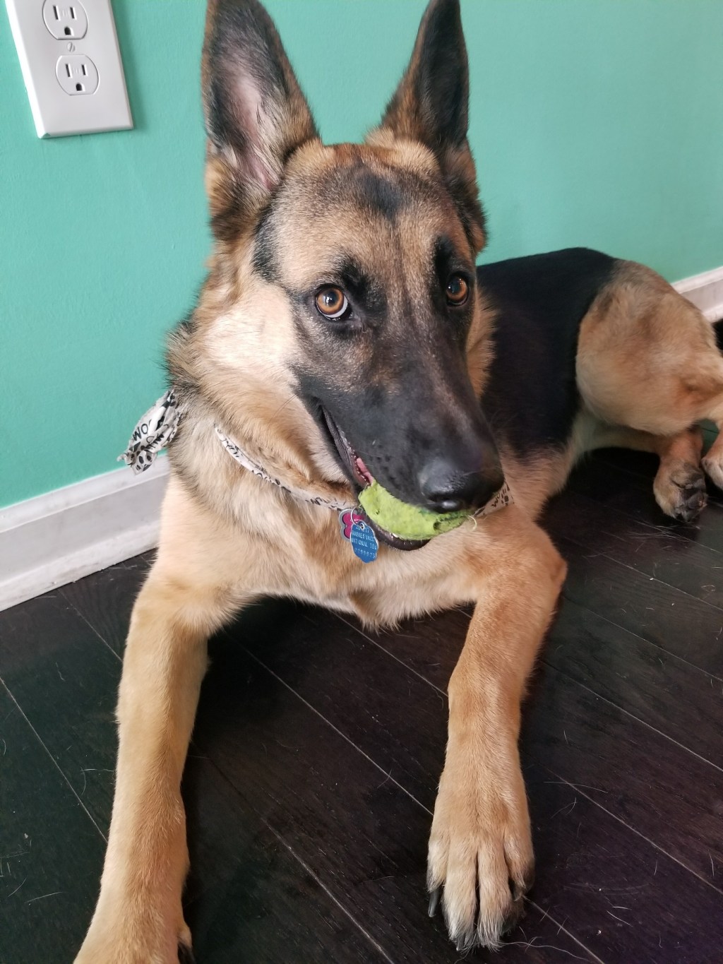 Talley Your Adventure – Kiki’s Korner – Florida